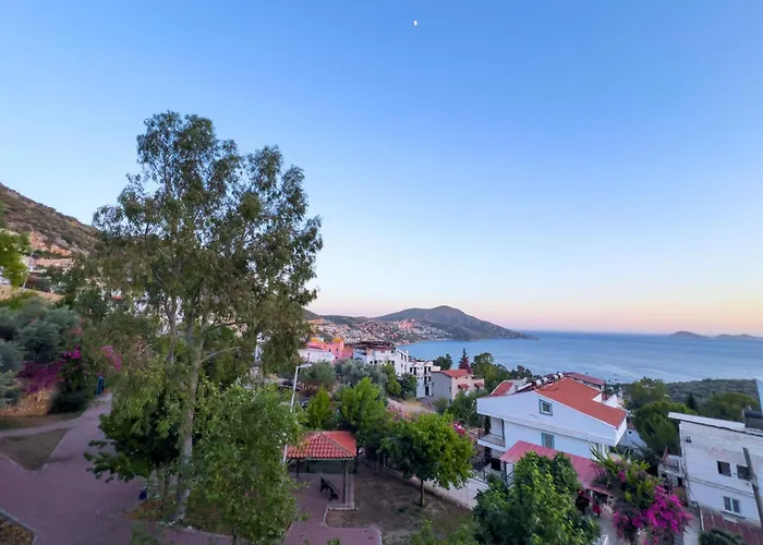 Seahorse Kalkan