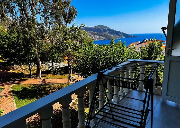 Seahorse Kalkan